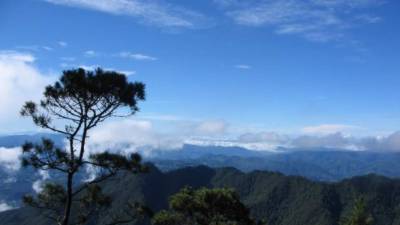 Vista en el Parque Nacional Celaque en Honduras.