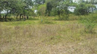 Los jóvenes presentaban signos de tortura y varios impactos de bala en su cuerpo.