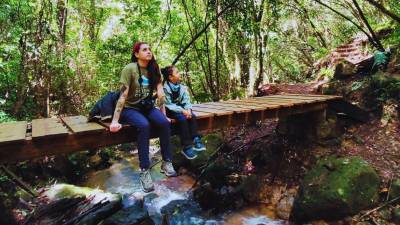 <b>1) Parque Nacional La Tigra (Francisco Morazán) </b>A solo 20 km de Tegucigalpa, es el bosque nublado más accesible del país. Ideal para senderismo entre neblina, cascadas y avistamiento de aves. Se llega por Valle de Ángeles o El Hatillo en carretera pavimentada. Es clave respetar senderos y no dejar basura: aquí nacen fuentes de agua vitales.