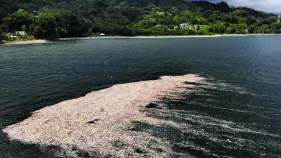 El río Motagua arrastra basura que se disemina por toda la costa caribeña de Honduras.