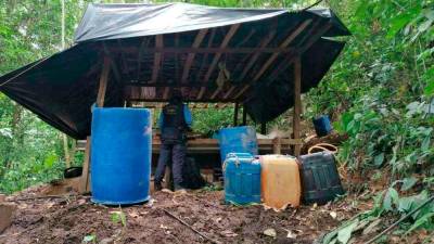 Acciones. Agentes antidrogas han destruidos las plantaciones de hoja de coca en montañas.