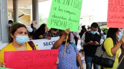 Los maestros Proheco han pedido sus plazas.