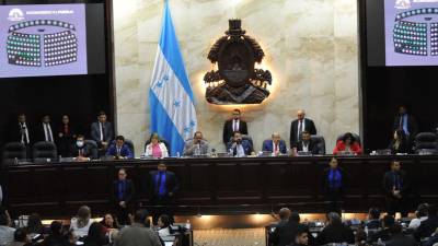 Sesión del Congreso Nacional | Fotografía de archivo