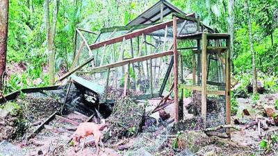 Los daños en el parque de aves son inmensos. El desborde de la quebrada arrasó con los aviarios y dejó muertas a varias de las emblemáticas aves.
