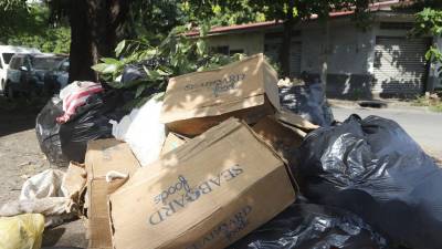 Los promontorios de basura están por toda la ciudad y los sampedranos claman a las autoridades porque mejoren el sistema de recolección en la ciudad.