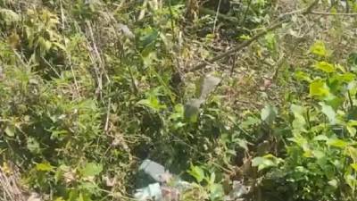 Se presume que la víctima era del género masculino por las características de su vestimenta.