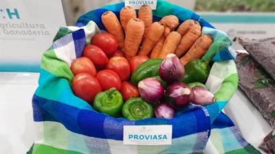 El propósito del proyecto es potenciar a las organizaciones de pequeños productores con negocios vinculados a las cadenas agroalimentarias priorizadas, como la producción de hortalizas.