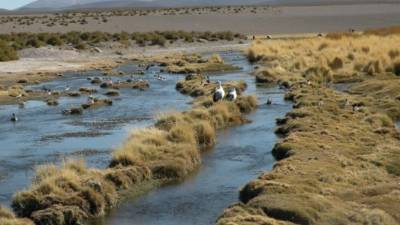 Bolivia alega que el afluente, que abastece de agua a una región del norte de Chile, se origina en territorio boliviano.