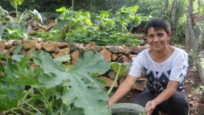 Se prevé la participación de diferentes sectores en alfarería, procesados, vegetales, café, rosquillas, lácteos, entre otros.