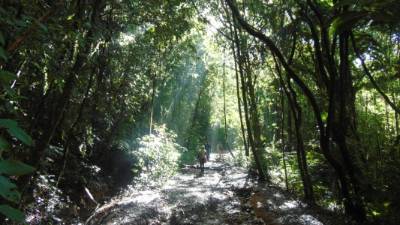 El senderismo puede durar de 20 minutos hasta cuatro horas. Use zapato cómodo y que no se deslice. Abríguese, ya que a más de 2,000 metros de altura la temperatura baja.