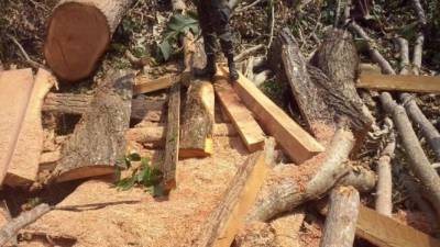 Durante el operativo que duró toda la Semana Santa no se capturó a ninguna persona.