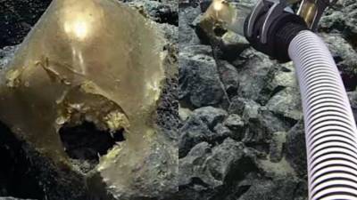 Un grupo de científicos quienes exploraban las profundidades del mar de Alaska encontraron un misterioso “huevo dorado”. Aquí las fotografías.