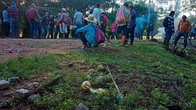 Tierras. El conflicto en el Aguán ha sido uno de los más sensibles en los registros agrarios del país.