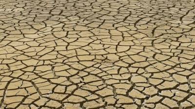 La Cenaos informó que este años el Fenómeno de El Niño afectará aún más a Honduras.