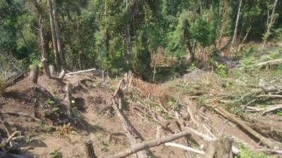 El descombro se dio en tres manzanas de la aldea Las Delicias. Foto: Ministerio Público