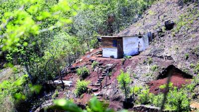 Invasores tienen en su poder propiedades incautadas, áreas protegidas y privadas.