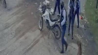 Captura de pantalla cuando el Policía le dispara sin motivo alguno al perrito.