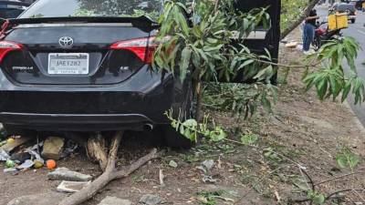 Otilia Blucha Cramer (57) resultó muerta en la avenida Juan Pablo II de San Pedro Sula.