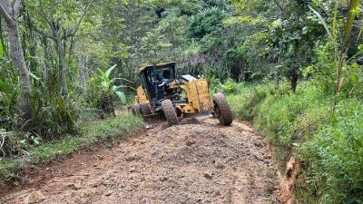 El Fondo Cafetero ya intervino 25 municipios en noroccidente hondureño.