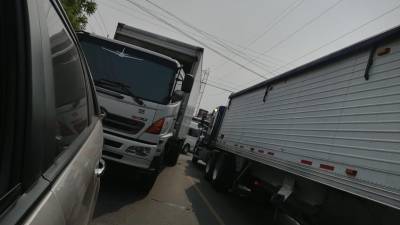 Filas de camiones en la carretera CA-4.