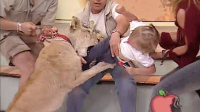 El ataque del león a la niña ocurrió en el 2003.