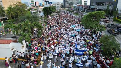 Una panorámica de la marcha que recorrió la avenida Circunvalación.