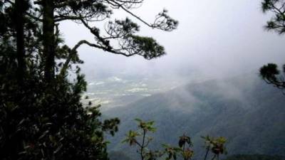 Vista del cerro Las Minas en el parque nacional Celaque en el departamento de Lempira, occidente de Honduras.