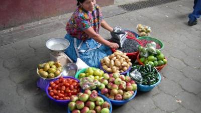 Productores de vegetales buscan incrementar su producción y darle un valor agregado al producto final.