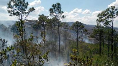 La montaña de El Picacho se puede ver desde distintos puntos de Tegucigalpa.