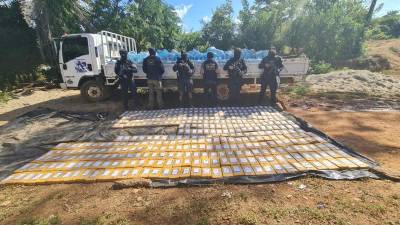 Las capturas ocurren principalmente en el Caribe del país.