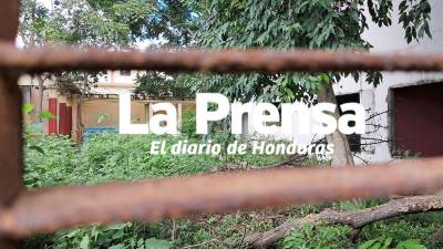 Fotos del interior de la casa de Los Olanchanos en la colonia Sandoval Sorto.