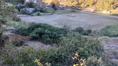 Luego de viralizarse las bajas temperaturas en el todo el departamento de Intibucá, las autoridades han confirmado efectos negativos en sus cultivos.