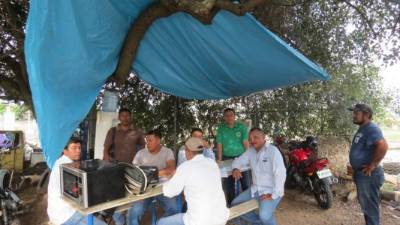 Alex Lambur, técnico de la Enee, junto con sus compañeros ahora deben hacer parte de su trabajo debajo de un árbol.