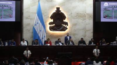 Sectores de la sociedad civil aseguran que el Congreso Nacional de Luis Redondo fue bajo en producción legislativa.