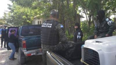 Gran despliegue de policías y militares hay en La Ceiba en busca de las sicarias.