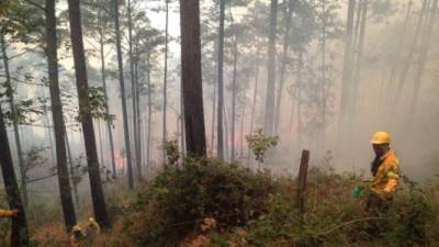 El fuego sigue destruyendo los bosques de Honduras.