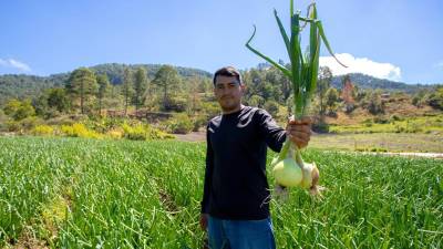 Programa De Mi Tierra cumple 16 años de apoyo a los productores y sus familias