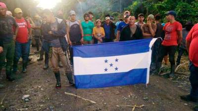 Usurpaciones. Grupos de personas armadas se han tomado por la fuerza en los últimos días las plantaciones de palma en Colón.