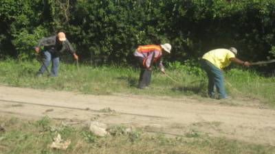 Las cuadrillas municipales hacen limpiezas en varios sectores de La Lima.