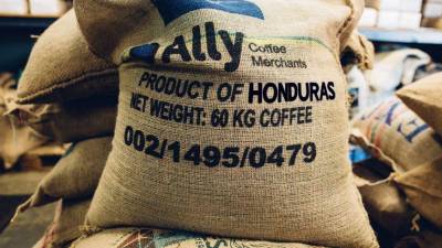 La aprobación de la prórroga al reglamento de deforestación por parte del Parlamento Europeo garantiza estabilidad para más de 100 mil familias productoras, al evitar interrupciones en las exportaciones hacia la Unión Europea, el principal destino del café hondureño con el 50 % de la producción nacional.