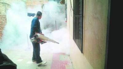 Salen positivos casos de chikungunya en Nicaragua