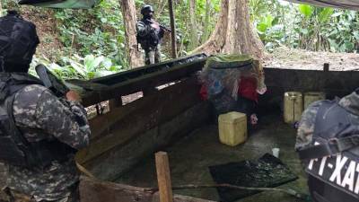 Las Fuerzas Armadas de Honduras, a través de la Fuerza de Tarea Conjunta Xatruch, localizaron y aseguraron más de 44,000 arbustos de hoja de coca en una extensión de ocho manzanas de tierra en la comunidad de El Salado Arriba, Plan de Flores, Limón, Colón, como parte de operaciones contra el narcotráfico realizadas a inicios de octubre.