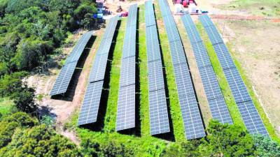 <b>Uno de los reclamos que mantienen varias plantas solares en contra de la Enee es elpago del incentivo de tres centavos de dólar.</b>