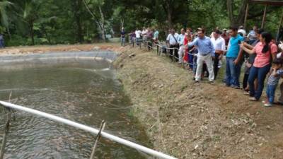 Autoridades locales y del Gobierno durante el lanzamiento del programa de cría de tilapia en Nuevos Horizontes.