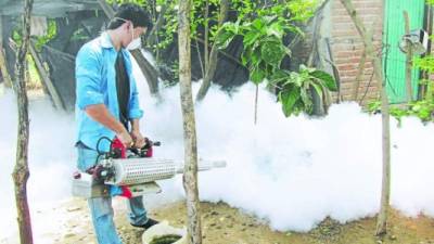 Las medidas de prevención son esenciales para evitar la propagación del dengue.