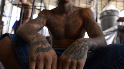 Trump denunció que las políticas migratorias de Obama permitieron la llegada de los pandilleros a EUA.