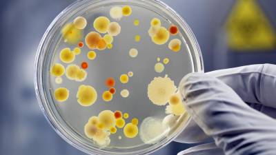 La contaminación favorece la proliferación de superbacterias