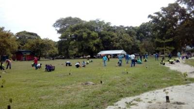 Los alumnos de los centros educativos siembran las plantas en la reserva natural Hacienda Tara.