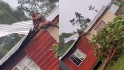 Captura de pantalla del vídeo que se viralizó en las redes sociales.