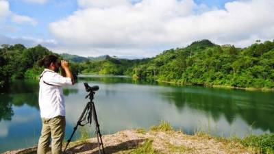 Un turista observa aves en el Lago de Yojoa.